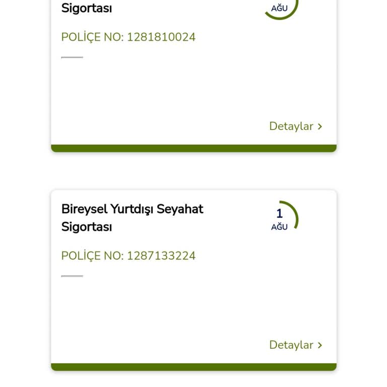 Anadolu Sigorta Yurt Dışı Seyahat Sigortası İçin Çift Ücret Aldılar.