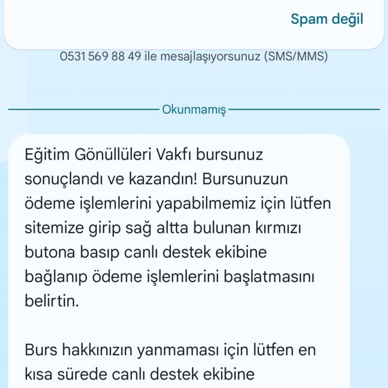 Eğitim Gönüllüleri Sahte Burs Başvurusu (tegv Taklit Edilerek)