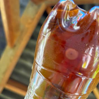 Lipton Tortu Ve Limon Çekirdeği