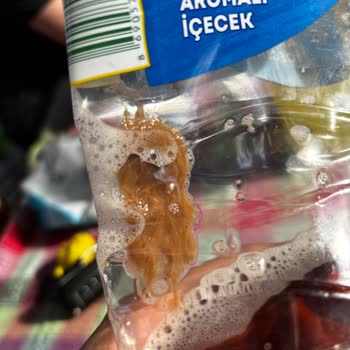Lipton Tortu Ve Limon Çekirdeği