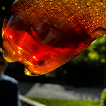 Lipton Tortu Ve Limon Çekirdeği
