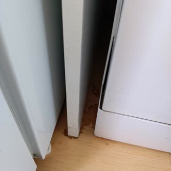 Black & White Temizlik (Ankara) Black&WHİTE Temizlik Şirketi