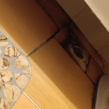 Black & White Temizlik (Ankara) Black&WHİTE Temizlik Şirketi