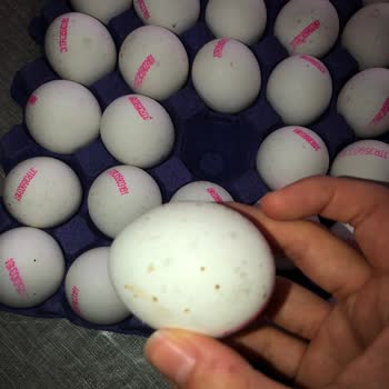 Şok Marketler Kurtlanmış Ve Küflenmiş Yumurtalar