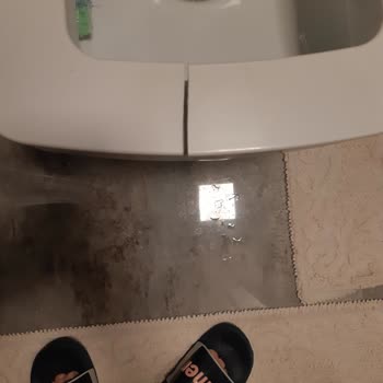 Seramiksan Luna Klozet Kapağı