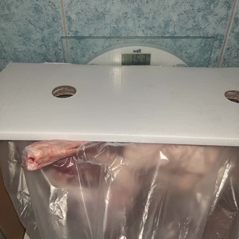 Migros Kurban Kesimi, Eksik Kg Gönderimi