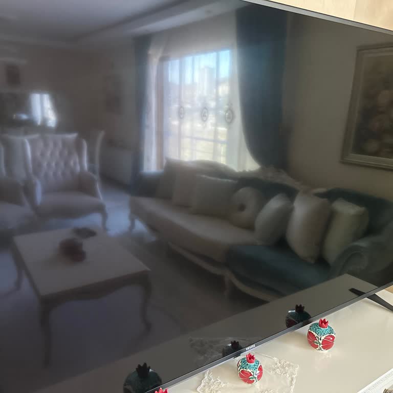 Vestel Yerli Diye Alıyoruz Ama Paramız Boşa Gidiyor