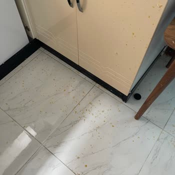 Karaca Züccaciye Zeyna Düdüklü Tencere Patlaması