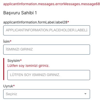 VFS Global Danimarka Randevu Hatası