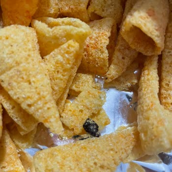 Patos Cipsin İçinden Midem Bulandıran Bir Şey Çıktı