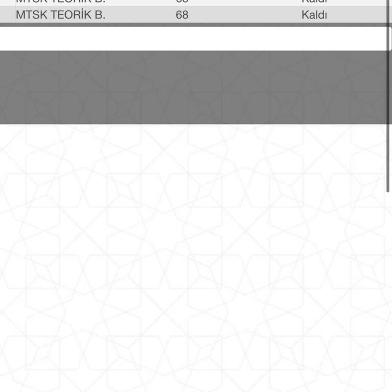 MEB Ehliyet E Sınav