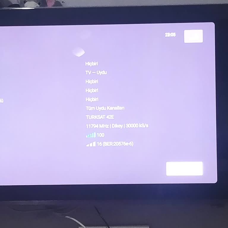 PHILIPS TV TRT HD Kanallarında Şifre Sorunu: Maçları İzleyemiyorum!