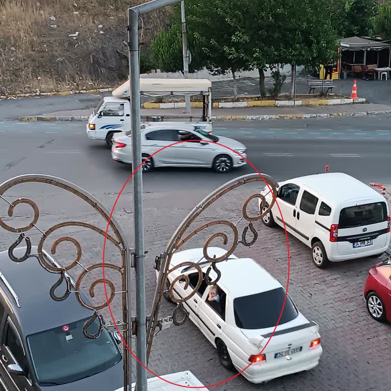 Alo 186 BEDAŞ Çağrı Merkezi Aydınlatma Direğindeki Tehlike