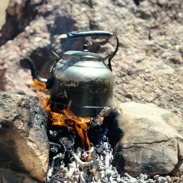 Aras Turizm Bayram Turu Hizmet Şikayeti