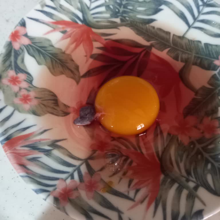 Etaş Yumurtadan Civciv