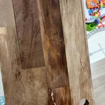 Bella Maison Üründe Küfler Oluşması!