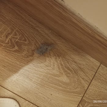 Palm Wings Ephesus Kuşadası Otel Şikayeti