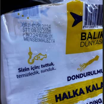 Balık Dünyası Adı Halka İçi Parmak Kalamar