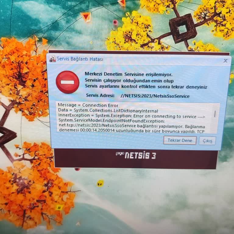 Logo Netsis Entegre 3 Program Açılmıyor