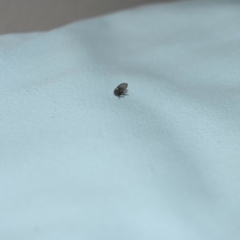 Jolly Tur Balkan Turu ( 17 & 24 Haziran 2024 )