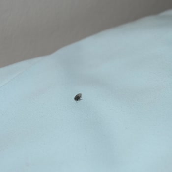 Jolly Tur Balkan Turu ( 17 & 24 Haziran 2024 )