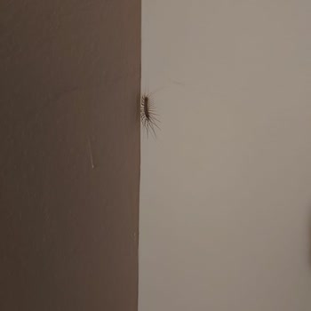 Jolly Tur Balkan Turu ( 17 & 24 Haziran 2024 )