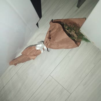 Balıkesir Özgüneş Nakliyat Eşyalarıma Verilen Zarar Yüksek Derecede!