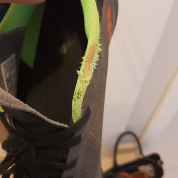 Adidas Marka Ayakkabı 2 Haftada Delindi