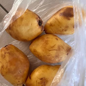 İpek Hanım Çiftliği Tam Bir Hayal Kırıklığı