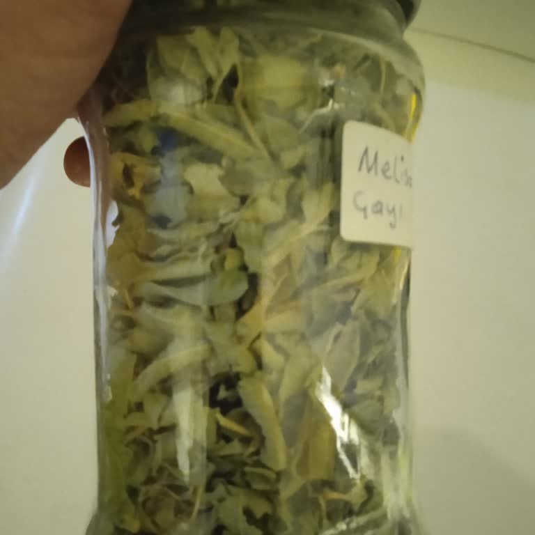 Makbul Mağaza Müdüründen Şikayetçiyiz