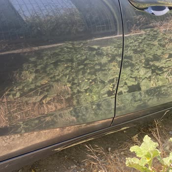 Greenmotion Car Rental Greenmotion Para İademi Yapmıyor