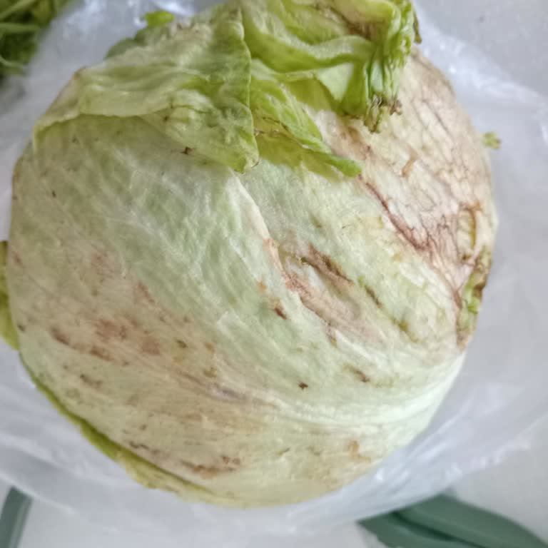 Diyarbakır Kayapınar Şok Market Şikayeti