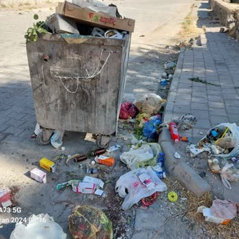 Şanlıurfa Akçakale Belediyesi... Konu Sokak Hayvanları