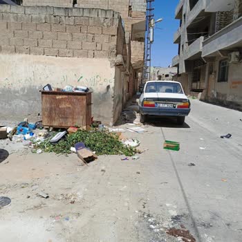 Şanlıurfa Akçakale Belediyesi... Konu Sokak Hayvanları
