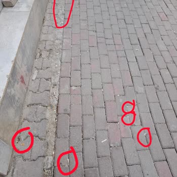Şanlıurfa Akçakale Belediyesi... Konu Sokak Hayvanları