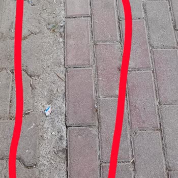 Şanlıurfa Akçakale Belediyesi... Konu Sokak Hayvanları