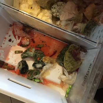 Siemens Ev Aletleri Buzdolabının Arkasında Durmuyor