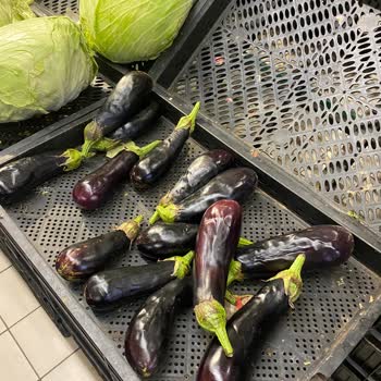 Tekirdağ Tekira AVM Carrefour Taze Ürün Sorunu