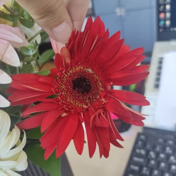 Çiçek Sepeti Ayıplı Ürün Gönderimi İle İlgili Çözüm Üretmiyor.