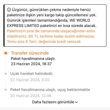 We World Express Ve World Express Temu