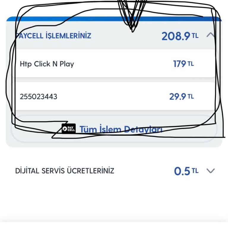 Vizyon Elektronik Para Elektronik Platformda İstenmeyen Ücretlendirme Sorunu