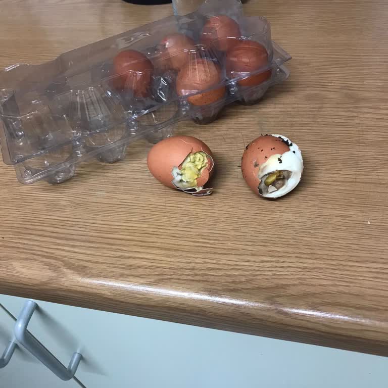 Onur Market Kemerburgaz Göktürk Şubesinde Organik Yumurta Hayal Kırıklığı!