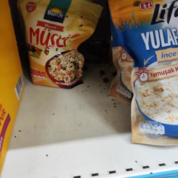 A101 Rize Engindere Mahallesi Fare Sorunu