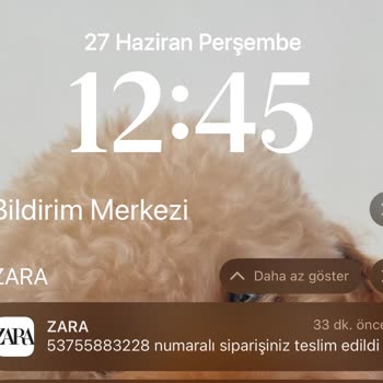 Kargoist Gelmediği Halde Teslim Edildi Diyor. Kargom Nerede?