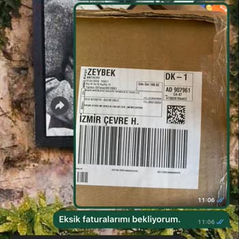 MNG Kargo Fatura Gönderim Sorunu Ve Çözüm Talepleri