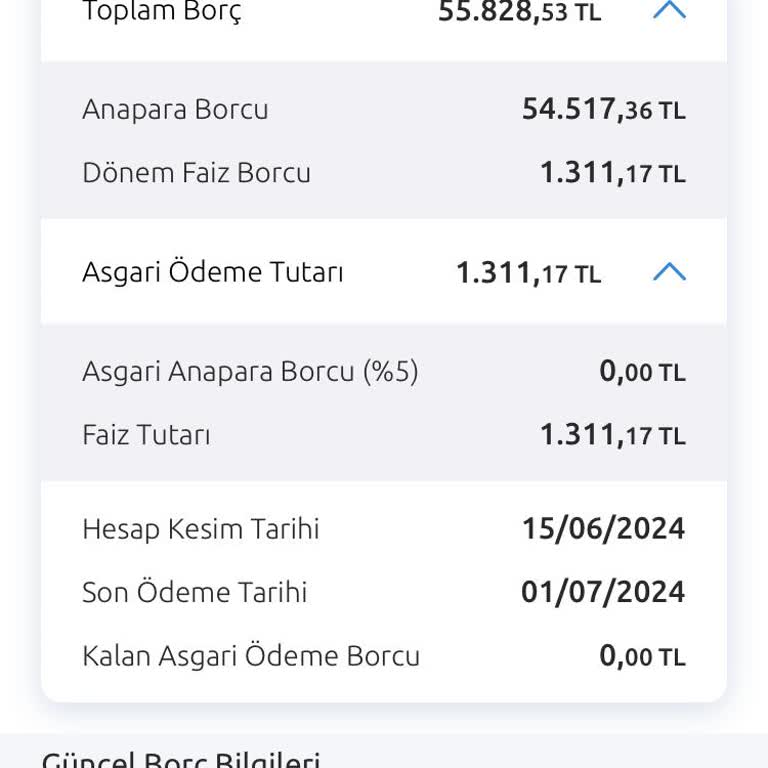 Yapı Kredi Esnek Hesap Borcu İçin İki Defa Tahsilat Yaptı