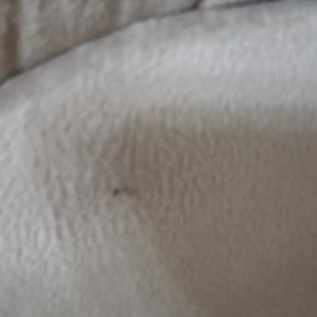 Evkur Alışveriş Servisin Ve Müşteri Hizmetinin Sürekli Gün Vermesinden Sıkıldık
