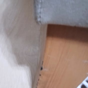 Evkur Alışveriş Servisin Ve Müşteri Hizmetinin Sürekli Gün Vermesinden Sıkıldık