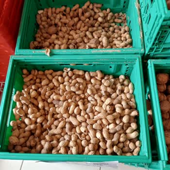 Şok Marketler Bayat, Çürük Ürün Satışları