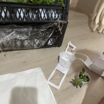 Sukulentworldd (Instagram) Düğün Öncesi Yaşanan Olumsuz Deneyim